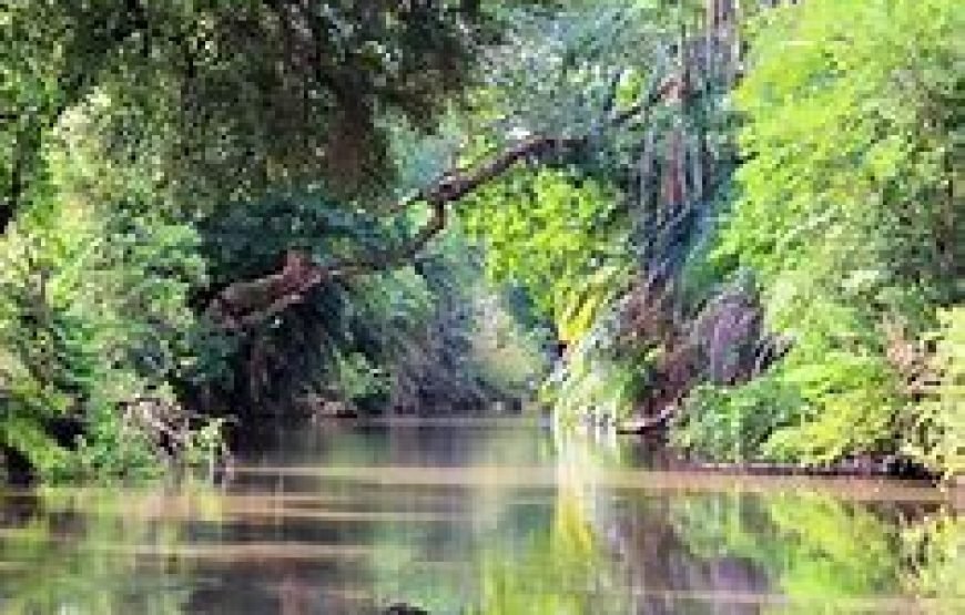 1 Night Safari to Meru National Park