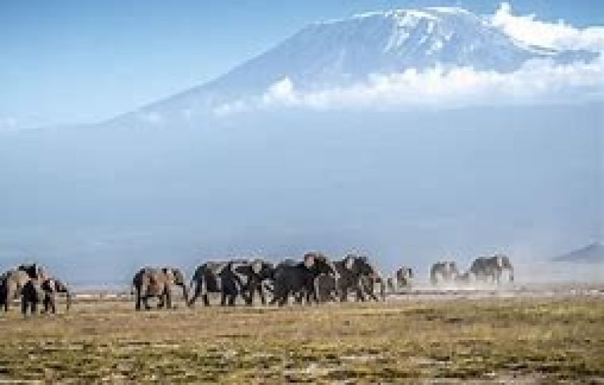1 Night Safari to Mount Kenya Region