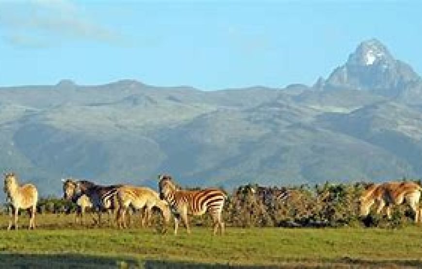 1 Night Safari to Mount Kenya Region