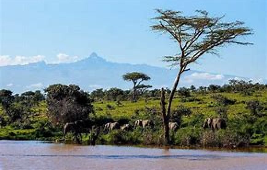 1 Night Safari to Mount Kenya Region