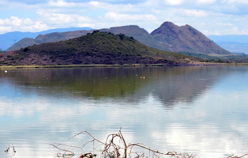 1 Night Safari to Lake Elementaita