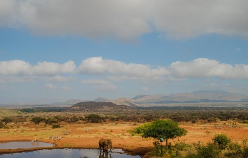 3 Days / 2 Nights Tsavo East and West Safari from Nairobi