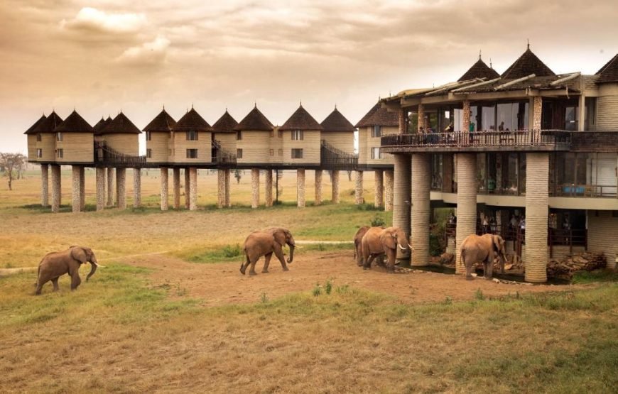 3 Days / 2 Nights Taita Hills Wildlife Sanctuary Safari