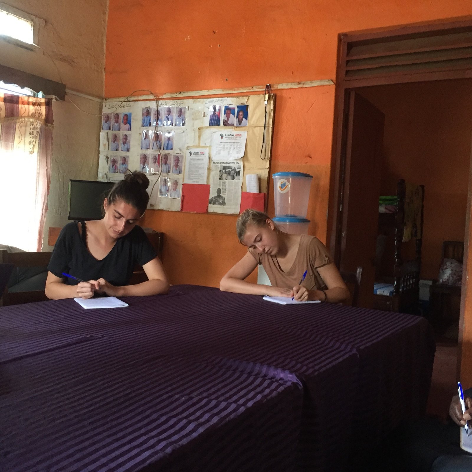 Day 16: Project Wrap-up and Reflection