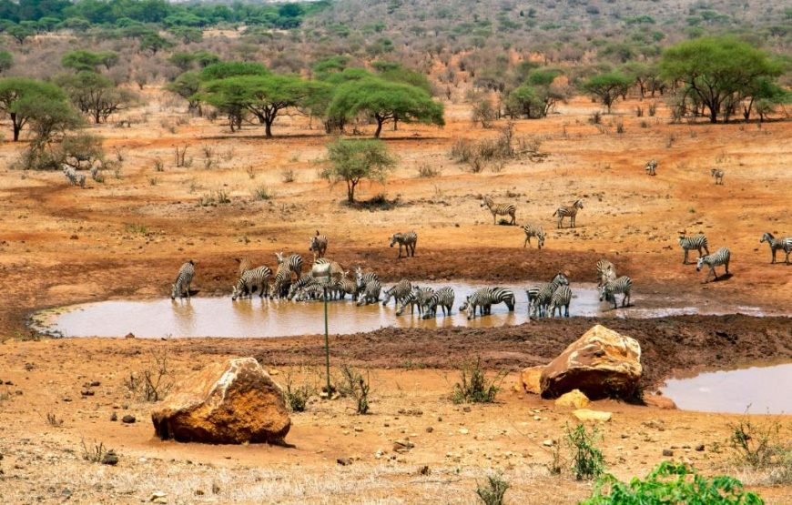 3 Days / 2 Nights Tsavo East and West Safari from Nairobi