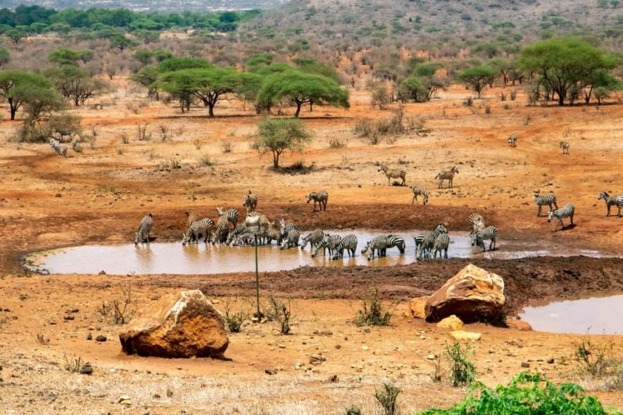 3 Days / 2 Nights Tsavo West Safari from Nairobi