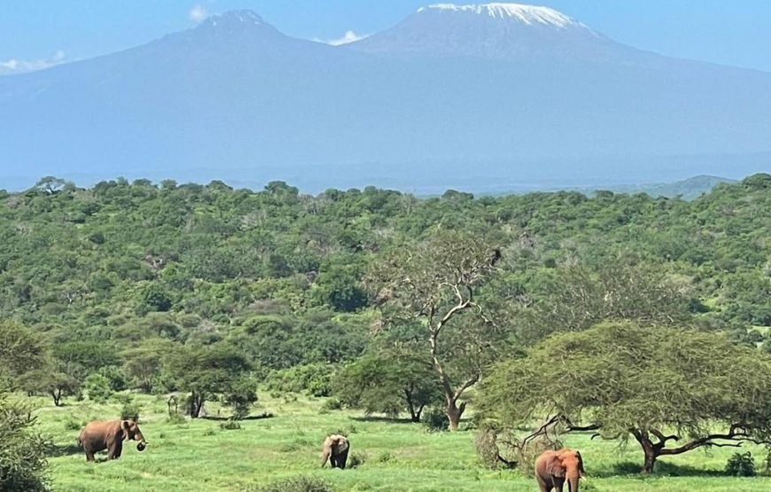 3 Days / 2 Nights Tsavo East and West Safari from Nairobi