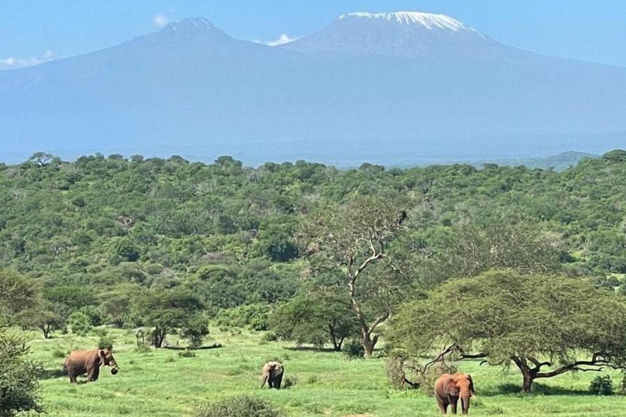 4 Days / 3 Nights Tsavo East and Amboseli Safaris from Nairobi