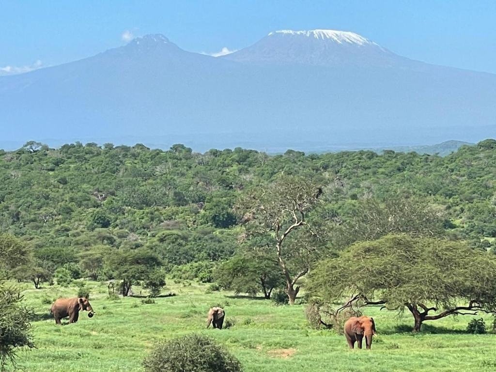 Day 2: Tsavo East to Tsavo West National Park