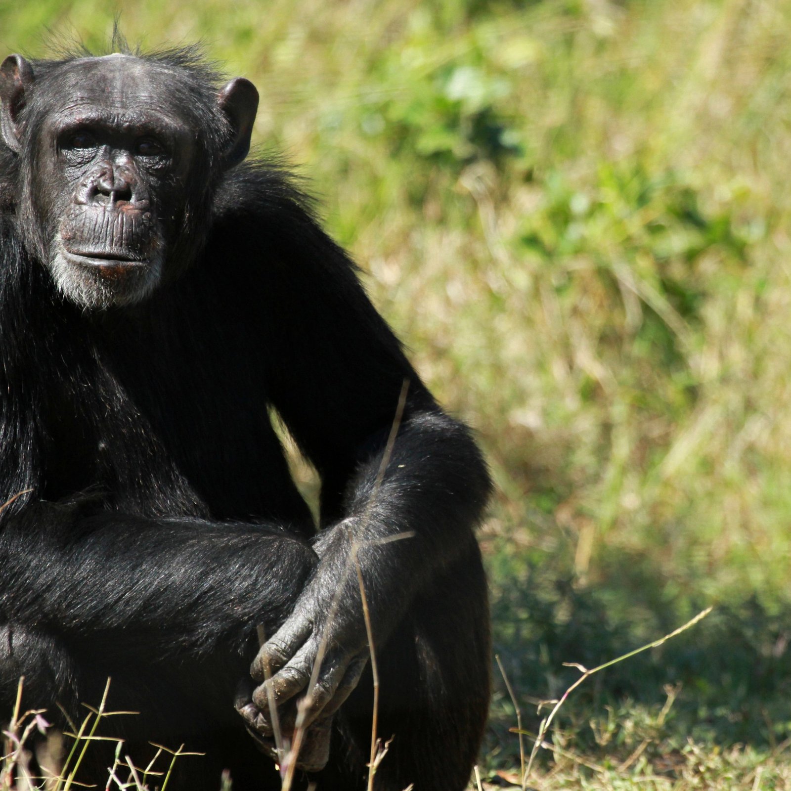 Day 3: Ol Pejeta to Nairobi