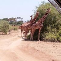 Day 2: Aberdare to Samburu National Reserve