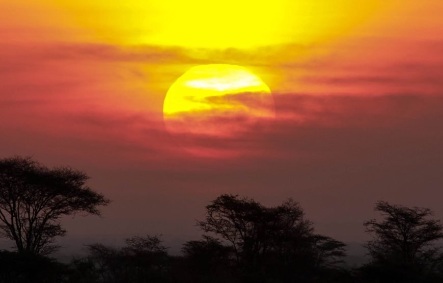 6 Days / 5 Nights Safari to Tsavo East, Amboseli, Lake Naivasha, and Masai Mara from Nairobi