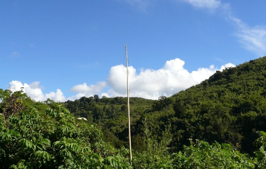 4 Days / 3 Nights Meru Park Safari from Nairobi