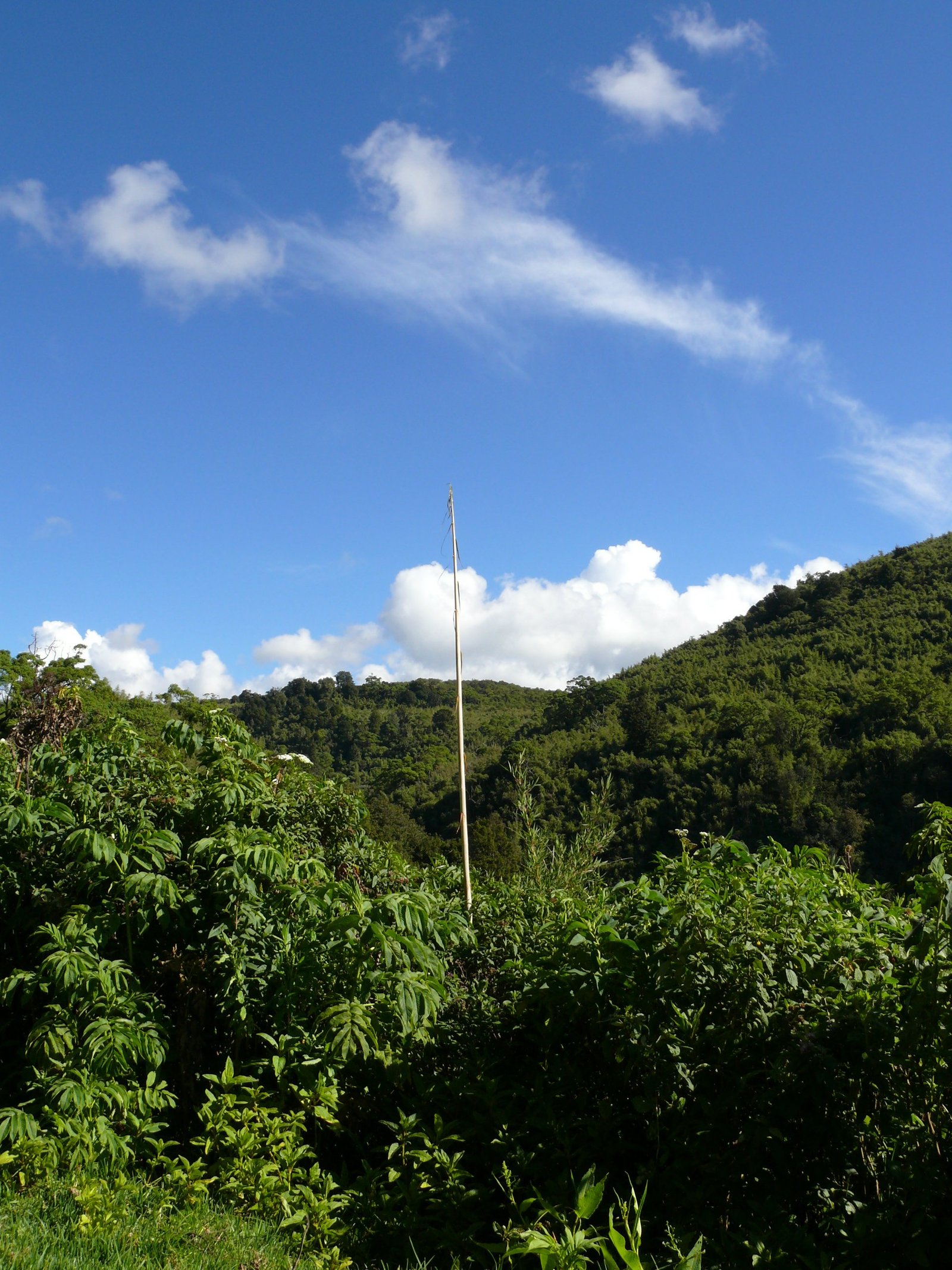 Day 2: Lake Nakuru to Maasai Mara National Reserve