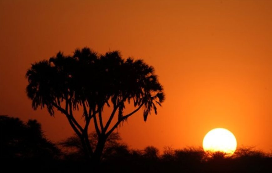 4 Days / 3 Nights Aberdare &  Samburu  Safari from Nairobi