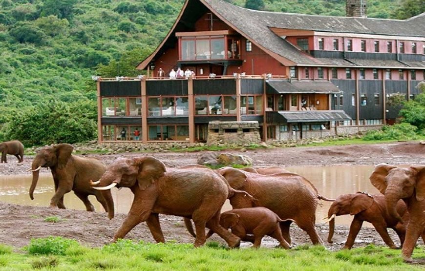 4 Days / 3 Nights Aberdare &  Samburu  Safari from Nairobi