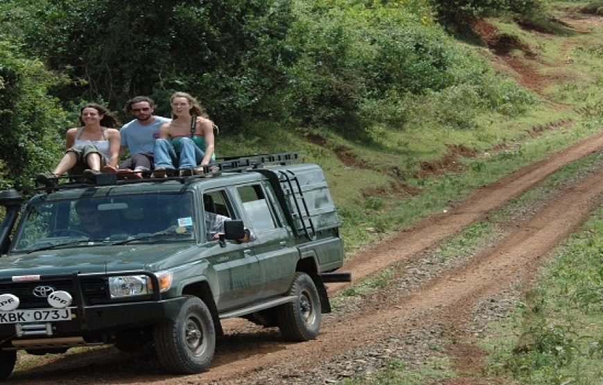 4 Days / 3 Nights Aberdare &  Samburu  Safari from Nairobi