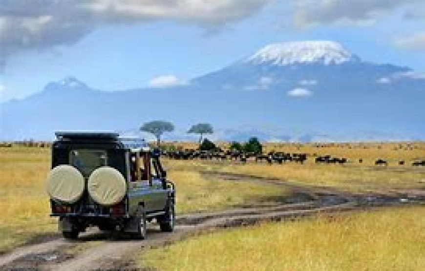 7 Days / 6 Nights Mt Kilimanjaro Wildlife Safari