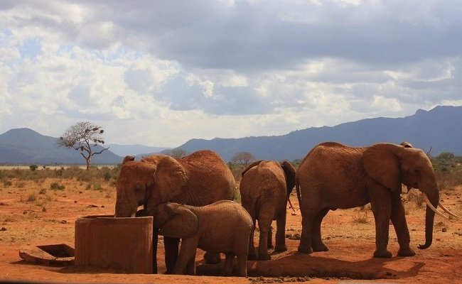 Day 1: Nairobi to Tsavo East National Park