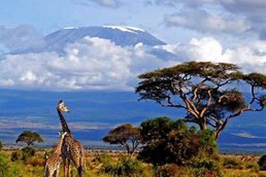 7 Days / 6 Nights Mt Kilimanjaro Wildlife Safari