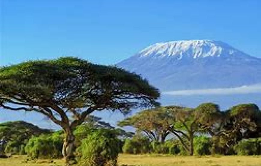 7 Days / 6 Nights Mt Kilimanjaro Wildlife Safari