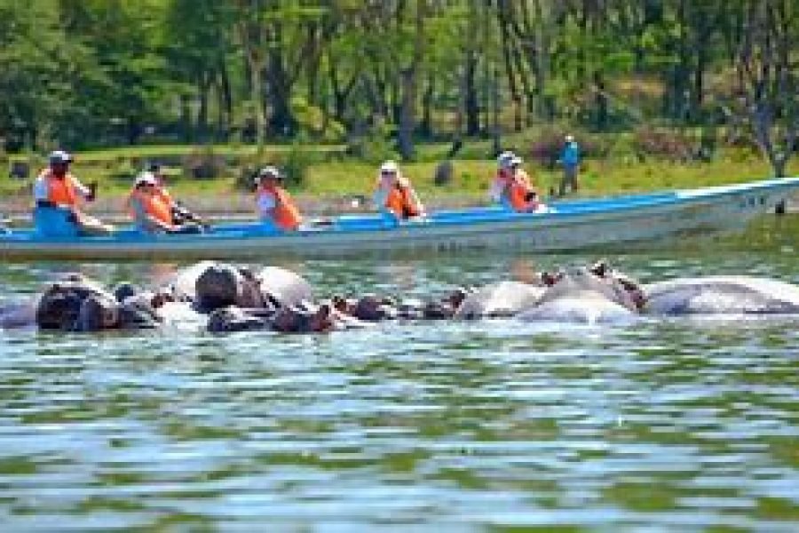 1 Night Safari to Lake Naivasha from Nairobi