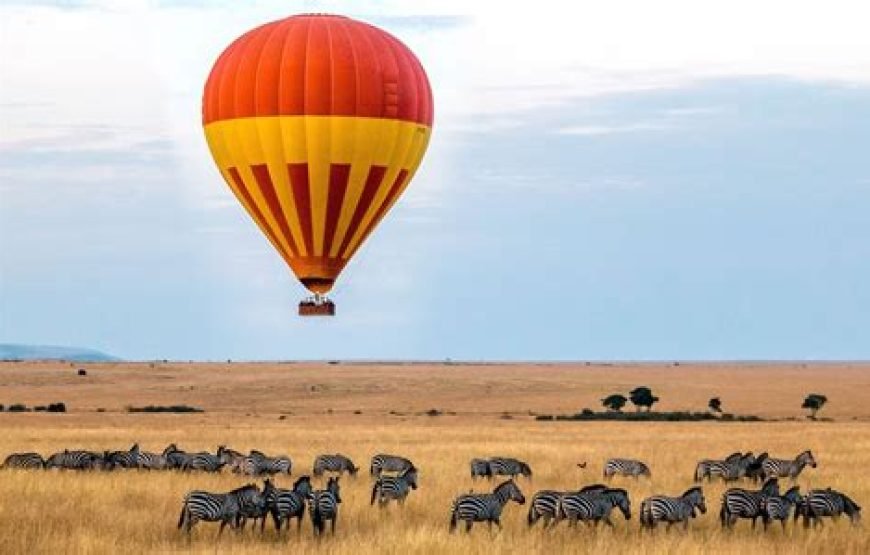 6 Days / 5 Nights Safari to Samburu, Nakuru, and Masai Mara from Nairobi