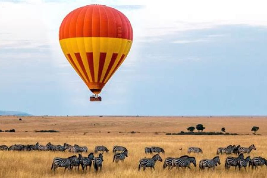 6 Days / 5 Nights Safari to Samburu, Nakuru, and Masai Mara from Nairobi