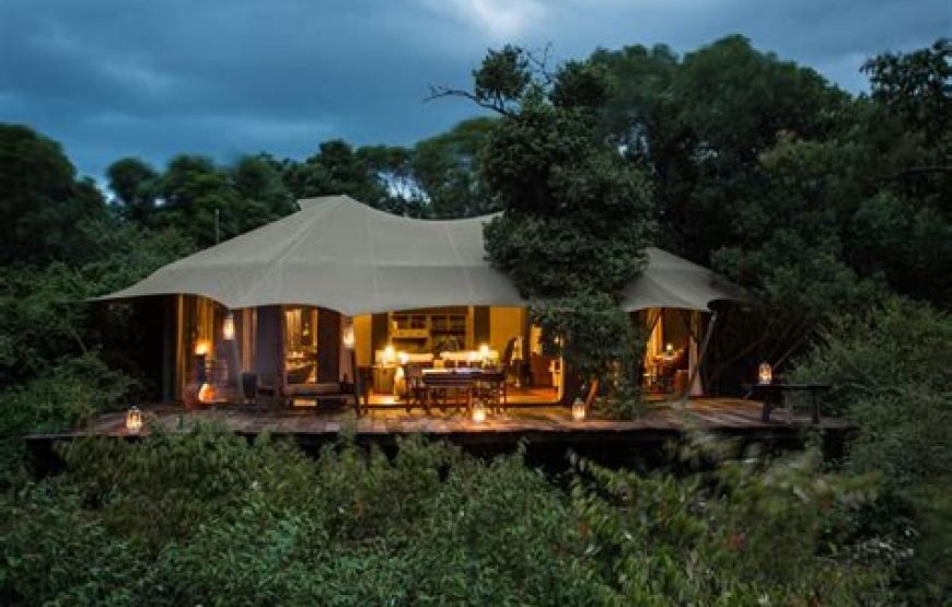 6 Days / 5 Nights Safari to Samburu, Nakuru, and Masai Mara from Nairobi