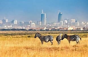 Day 4: Amboseli to Nairobi