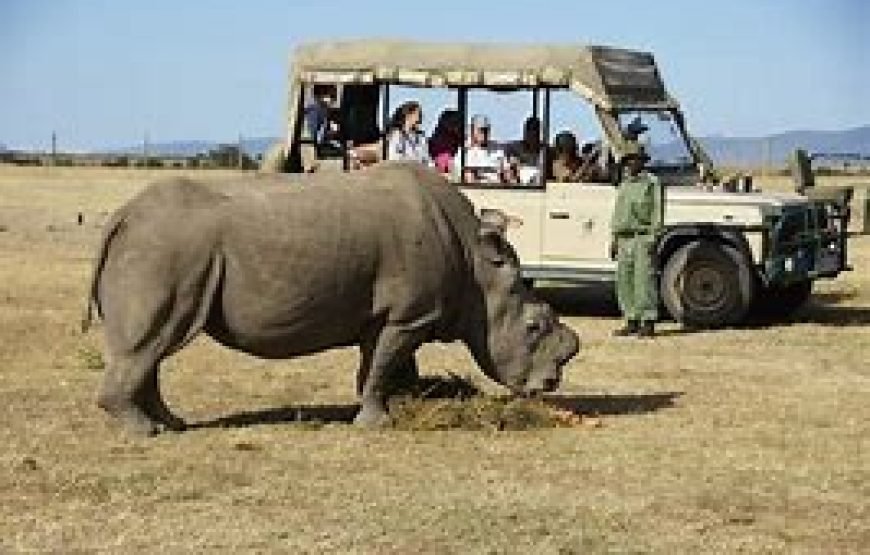 1 Night Safari to Ol Pejeta Conservancy