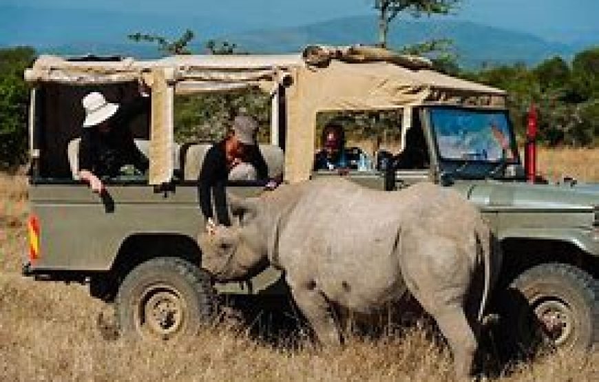 1 Night Safari to Ol Pejeta Conservancy