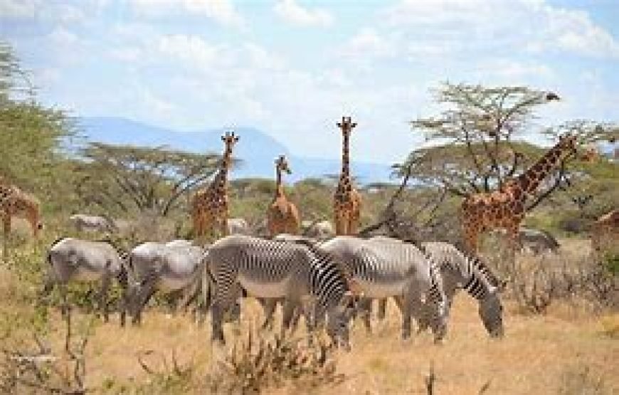 7 Days / 6 Nights Samburu, Lakes Baringo