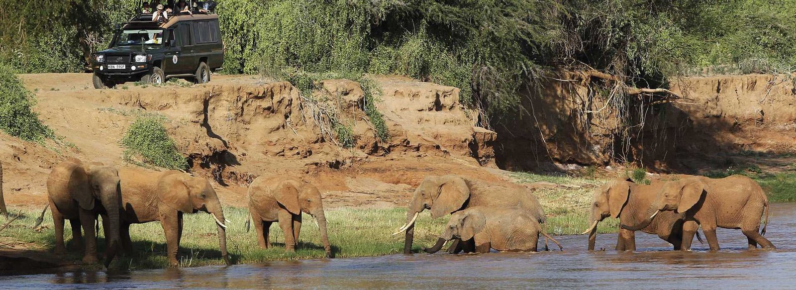 Day 4: Final Samburu Experience and Departure