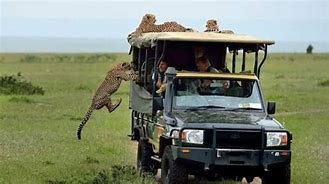 Day 2: Full Day in Tsavo West National Park