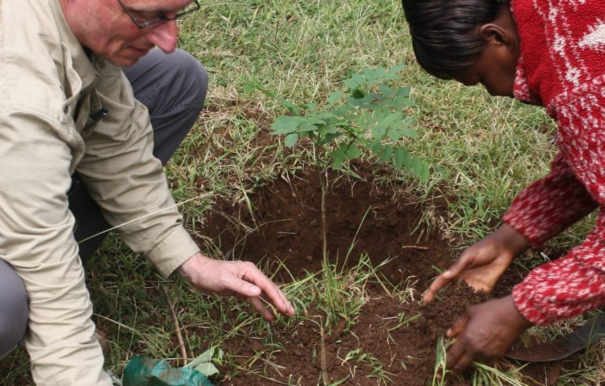Volunteer in Environment Conservation, Likoni,South Coast – Starting 1 Month