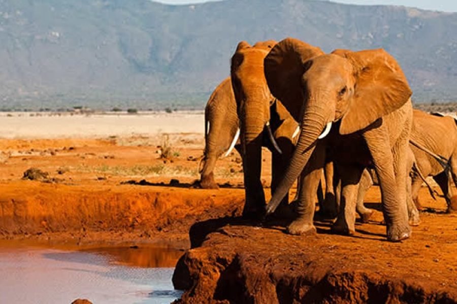 7 Days / 6 Nights Samburu, Lakes Baringo