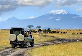 Day 3: Amboseli to Nairobi