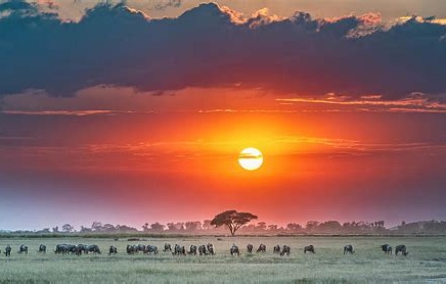 Day Safari from Mombasa to Tsavo East and Amboseli, ending in Nairobi