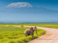 Day 2: Tsavo East to Amboseli National Park