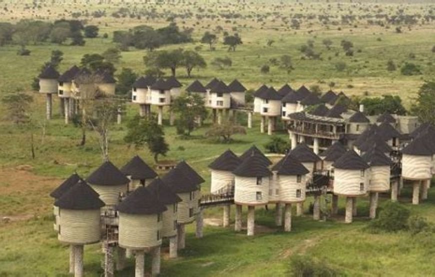 4 Days Safari from Mombasa to Tsavo West, Amboseli and Taita Hills
