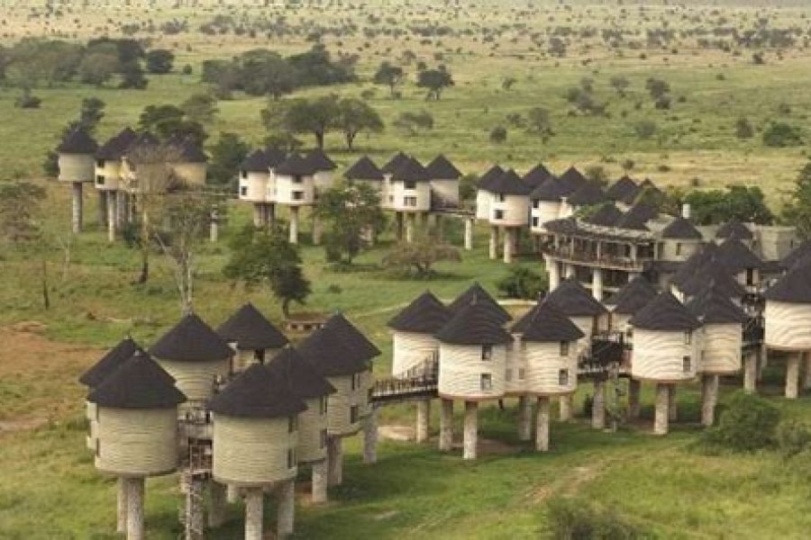 4 Days Safari from Mombasa to Tsavo West, Amboseli and Taita Hills
