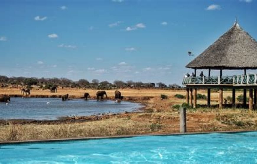 4 Days Safari from Mombasa to Tsavo West, Amboseli and Taita Hills