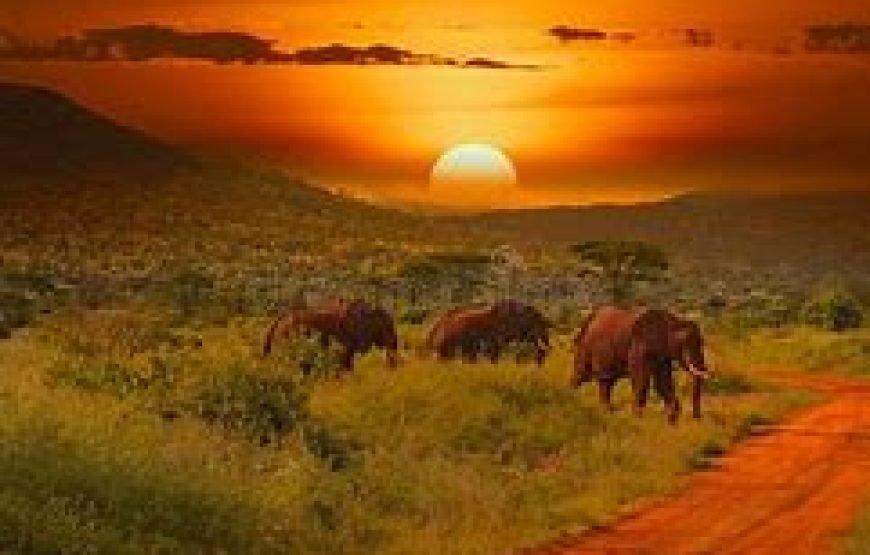 Day Safari from Mombasa to Tsavo East and Amboseli, ending in Nairobi