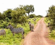 Day 2: Tsavo East to Tsavo West National Park