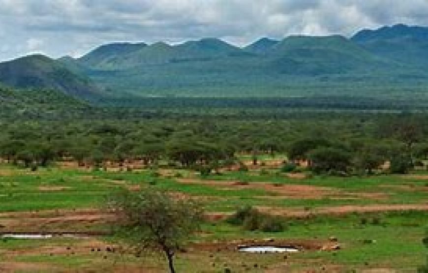 3 Days / 2 Nights Flying Safari to Tsavo West from Mombasa