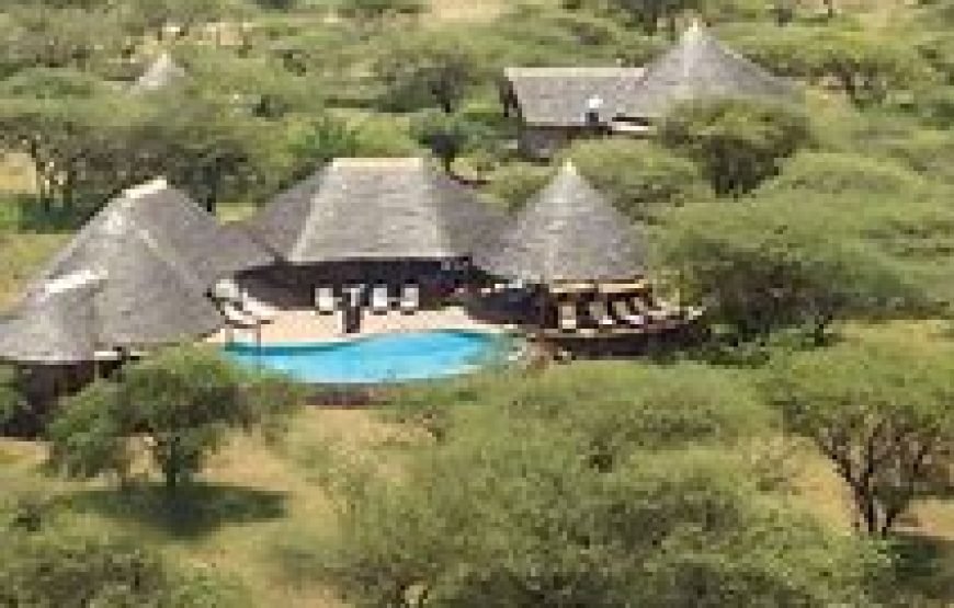 3 Days / 2 Nights Flying Safari to Tsavo West from Mombasa