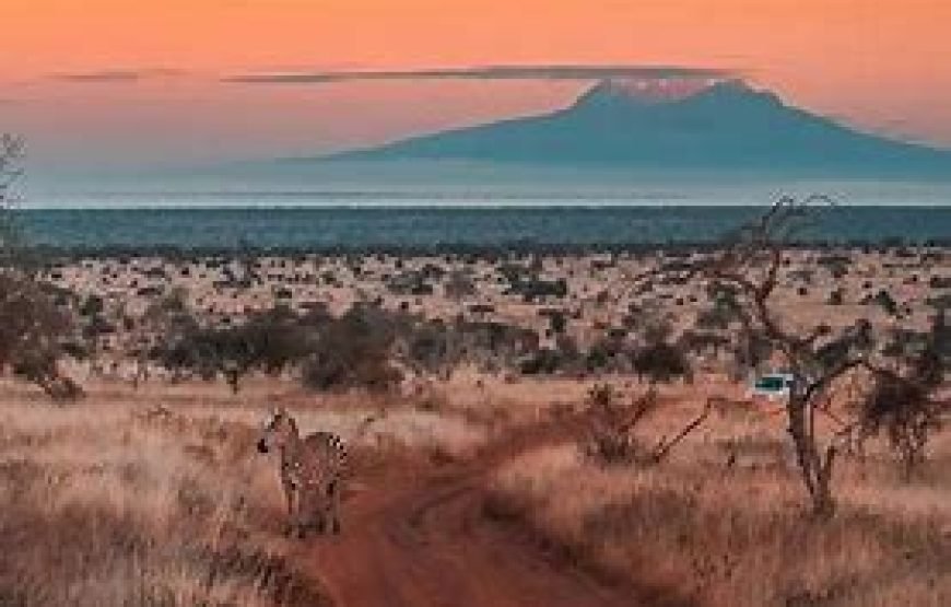 3 Days / 2 Nights Flying Safari to Tsavo West from Mombasa