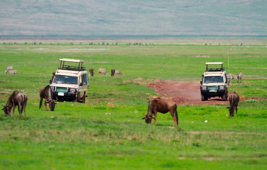 Ngorongoro Crater Day Tour: Explore Africa’s Eden in a Day Duration: Full Day | Start/End: Arusha (05:30–18:30)