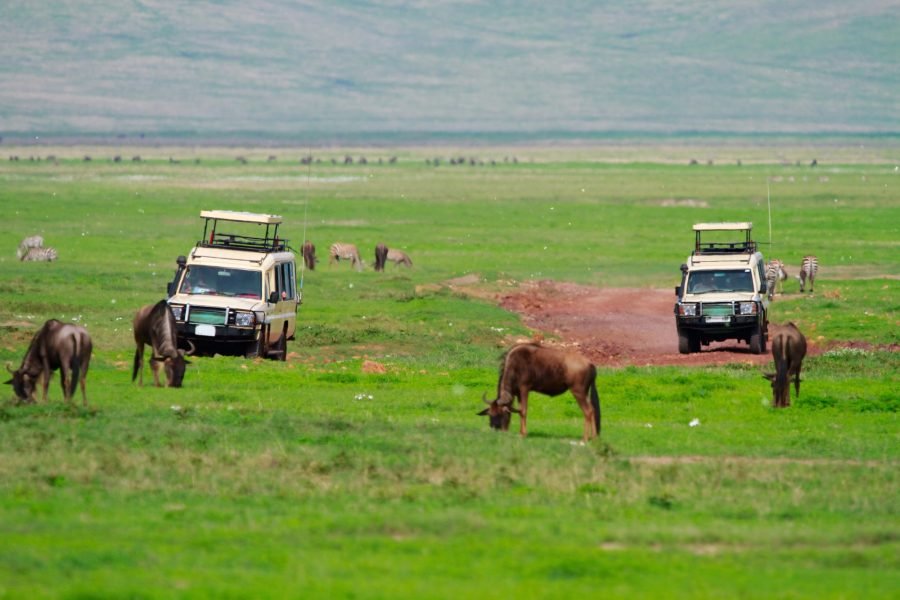 Ngorongoro Crater Day Tour: Explore Africa’s Eden in a Day Duration: Full Day | Start/End: Arusha (05:30–18:30)